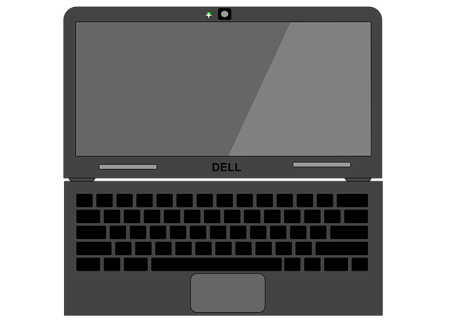 מחשבים ניידים DELL על קצה המזלג